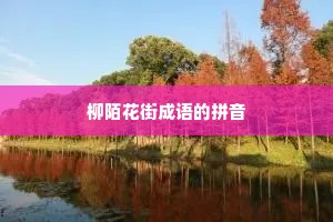 柳陌花街成语的拼音