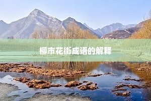 柳市花街成语的解释