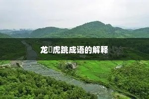 龙拏虎跳成语的解释