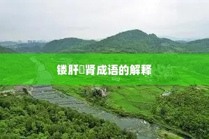 镂肝鉥肾成语的解释