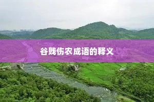 谷贱伤农成语的释义