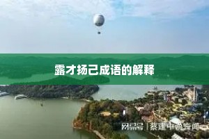 露才扬己成语的解释