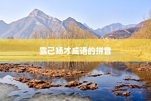 露己扬才成语的拼音