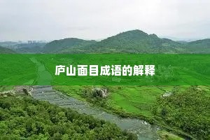 庐山面目成语的解释