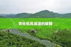 败化伤风成语的解释