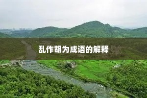 乱作胡为成语的解释
