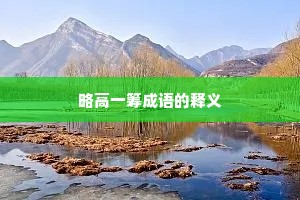 略高一筹成语的释义