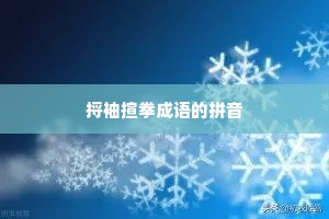 捋袖揎拳成语的拼音