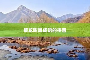扳龙附凤成语的拼音