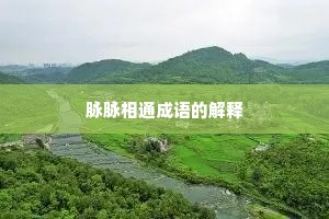 脉脉相通成语的解释