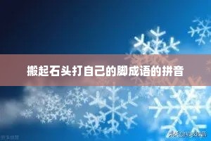 搬起石头打自己的脚成语的拼音
