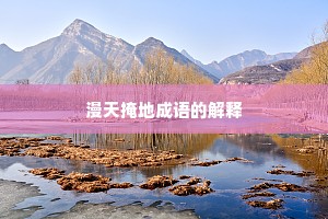 漫天掩地成语的解释