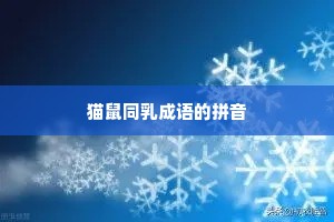 猫鼠同乳成语的拼音