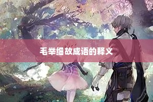 毛举细故成语的释义