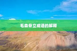 毛森骨立成语的解释