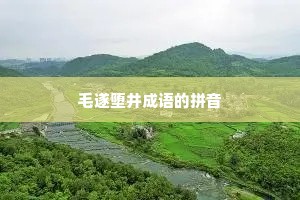 毛遂堕井成语的拼音