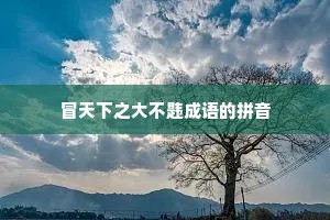 冒天下之大不韪成语的拼音