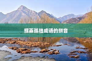 鳏寡孤独成语的拼音