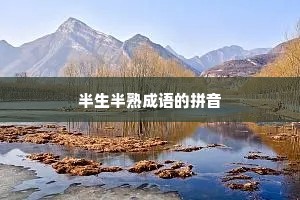 半生半熟成语的拼音
