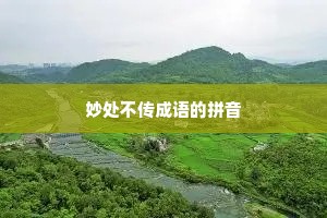 妙处不传成语的拼音