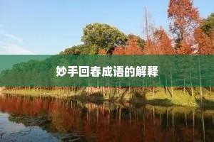 妙手回春成语的解释