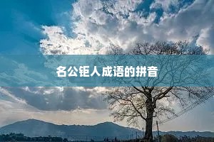 名公钜人成语的拼音