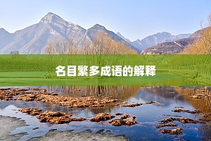名目繁多成语的解释
