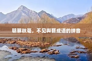 明察秋毫，不见舆薪成语的拼音