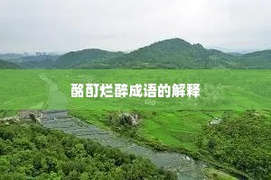 酩酊烂醉成语的解释