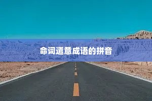 命词遣意成语的拼音