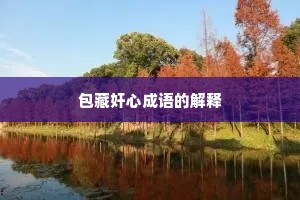 包藏奸心成语的解释