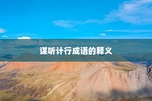 谋听计行成语的释义