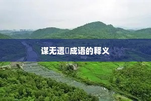 谋无遗谞成语的释义