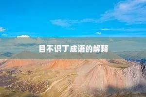 目不识丁成语的解释