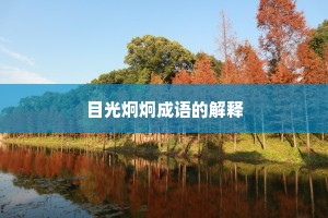 目光炯炯成语的解释