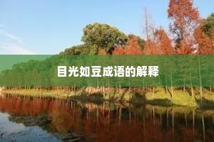 目光如豆成语的解释