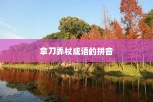 拿刀弄杖成语的拼音