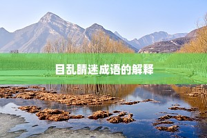 目乱睛迷成语的解释