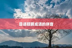 目语额瞬成语的拼音