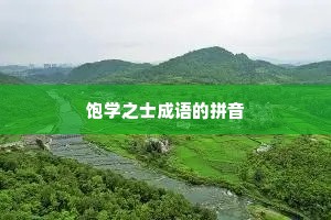 饱学之士成语的拼音