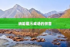 纳垢藏污成语的拼音
