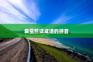 囊萤照读成语的拼音