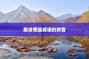 能说惯道成语的拼音