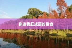 你追我赶成语的拼音
