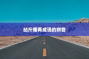 拈斤播两成语的拼音