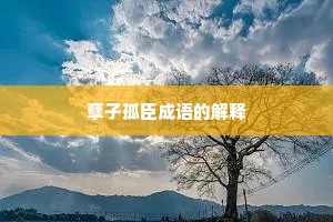 孽子孤臣成语的解释