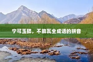 宁可玉碎，不能瓦全成语的拼音