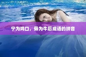 宁为鸡口，毋为牛后成语的拼音