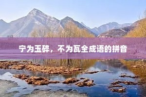 宁为玉碎，不为瓦全成语的拼音