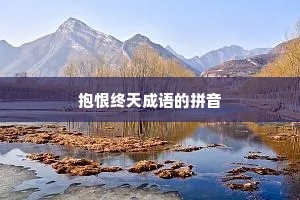 抱恨终天成语的拼音